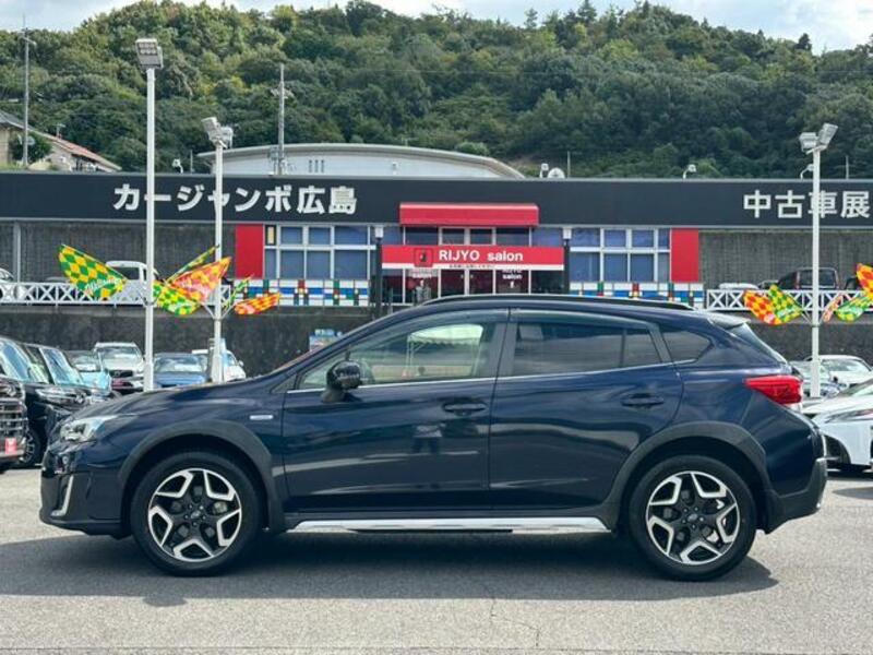XV