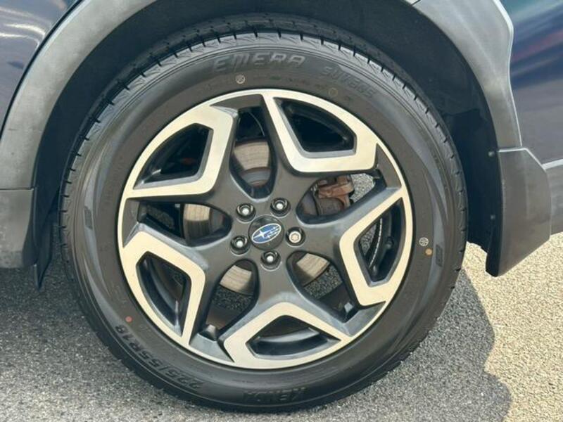 XV