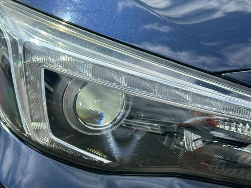 XV