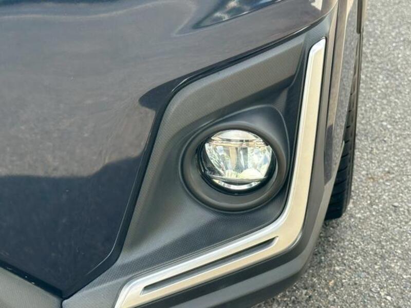 XV