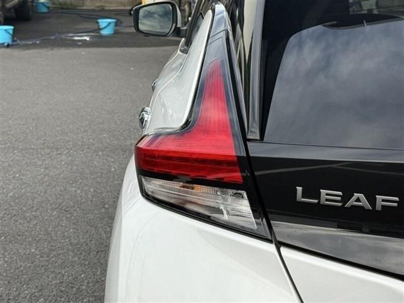 LEAF