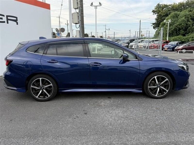 LEVORG