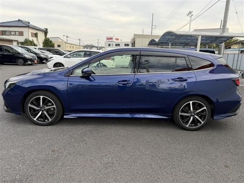 LEVORG