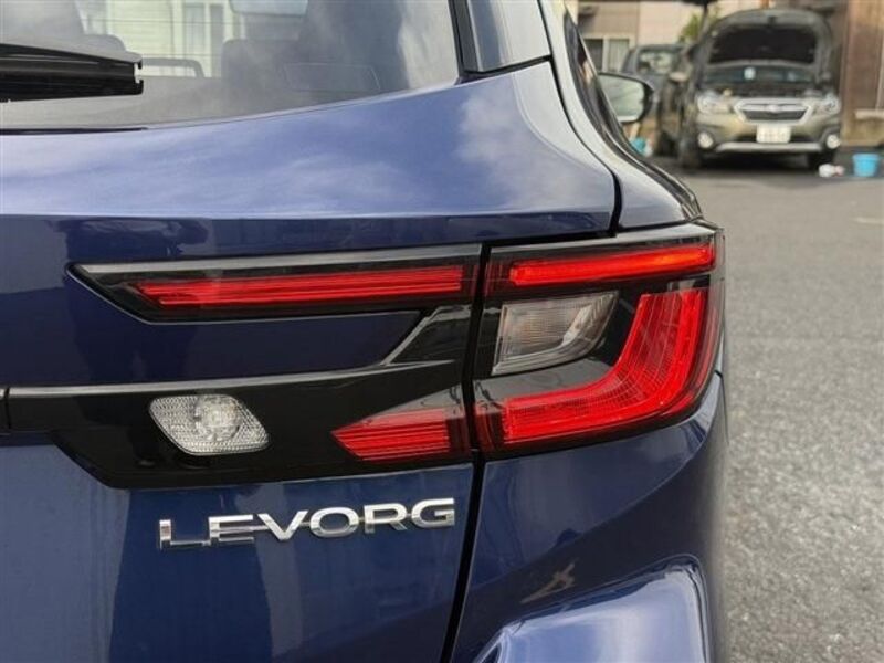 LEVORG