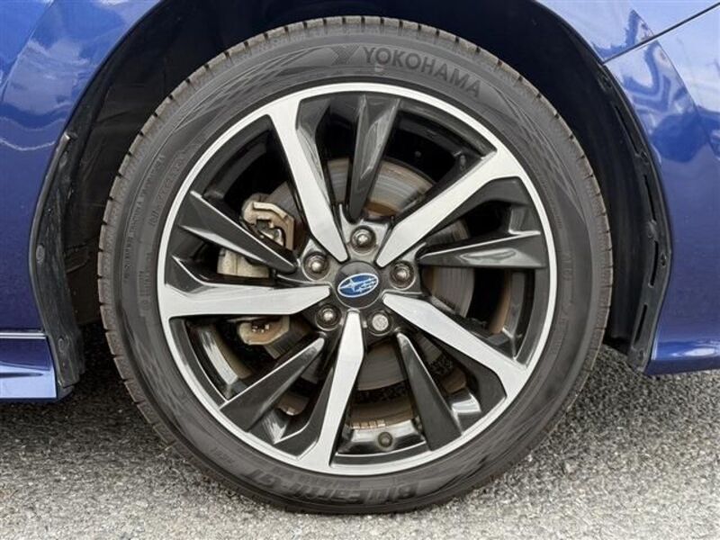 LEVORG