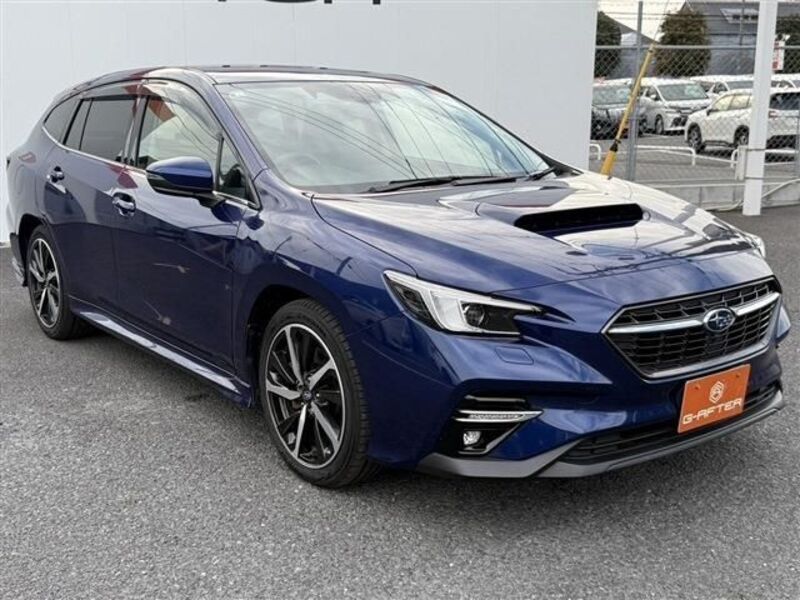 LEVORG