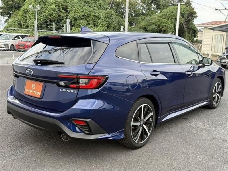 LEVORG
