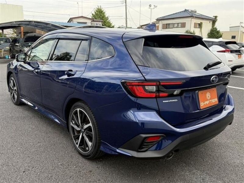 LEVORG