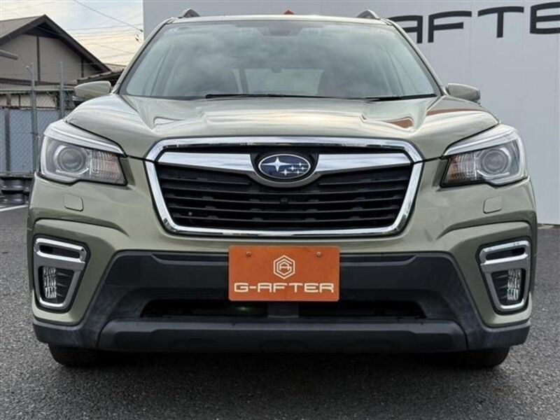 FORESTER