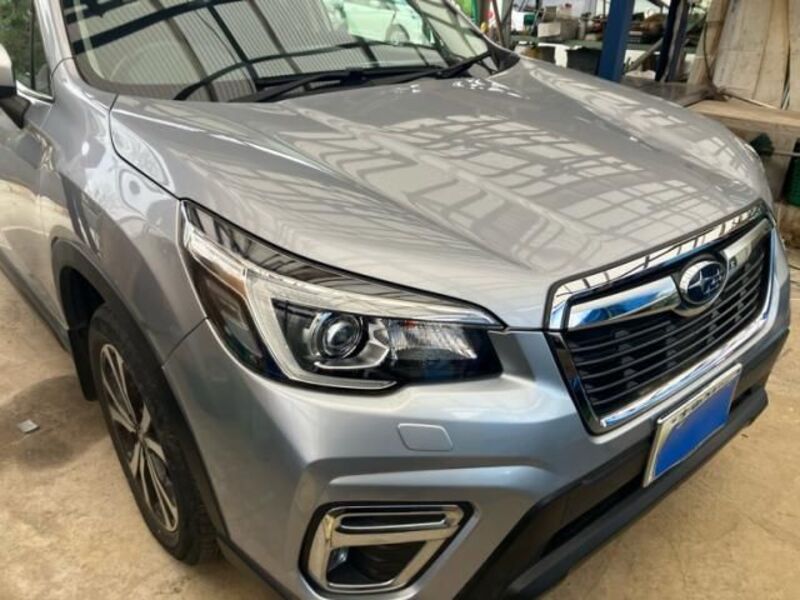 FORESTER-0