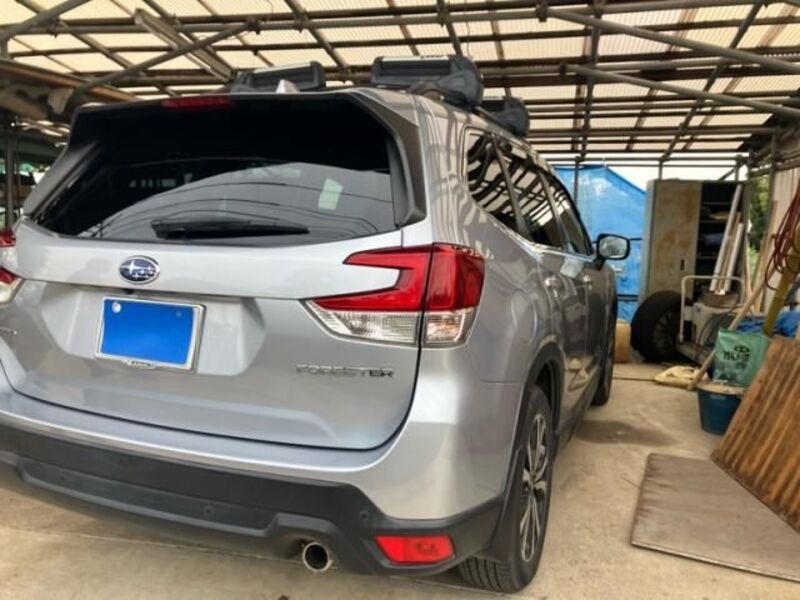 FORESTER