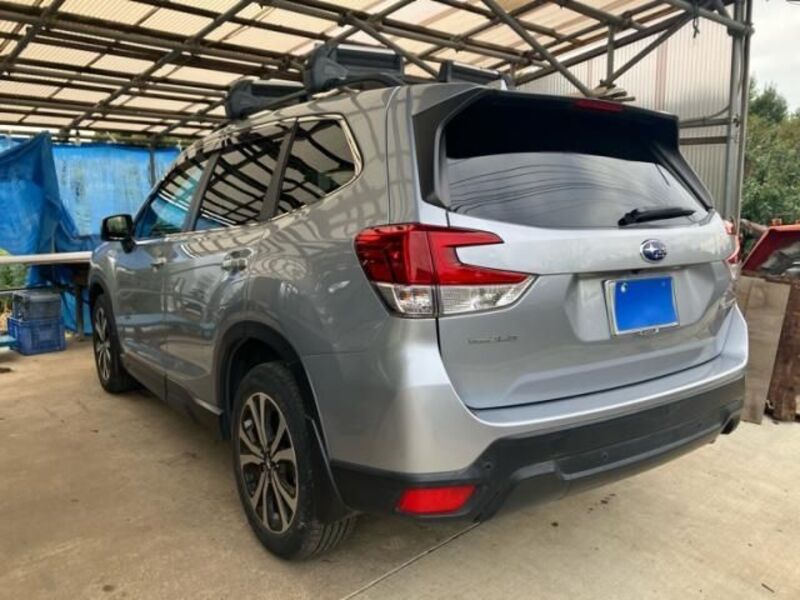 FORESTER