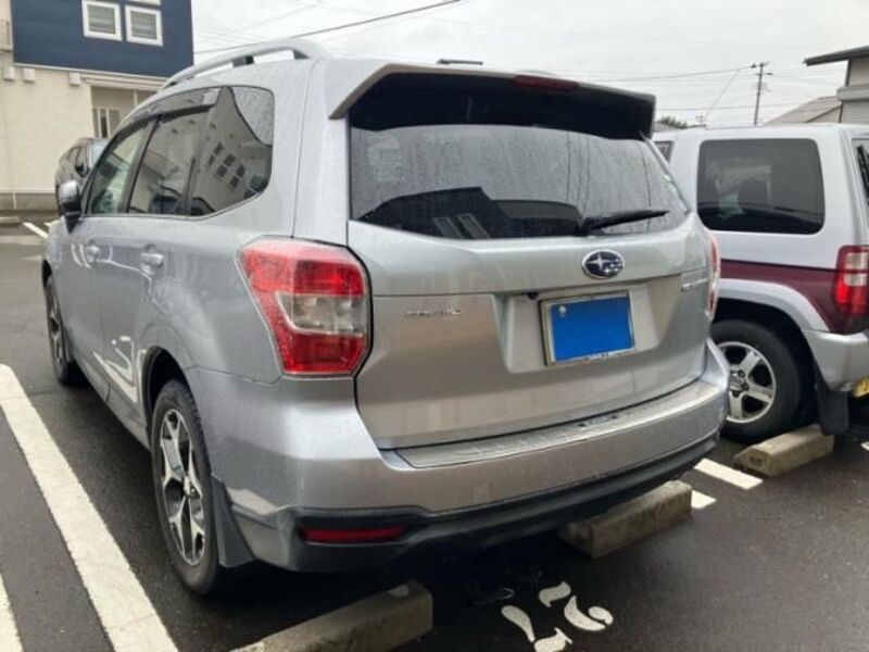 FORESTER