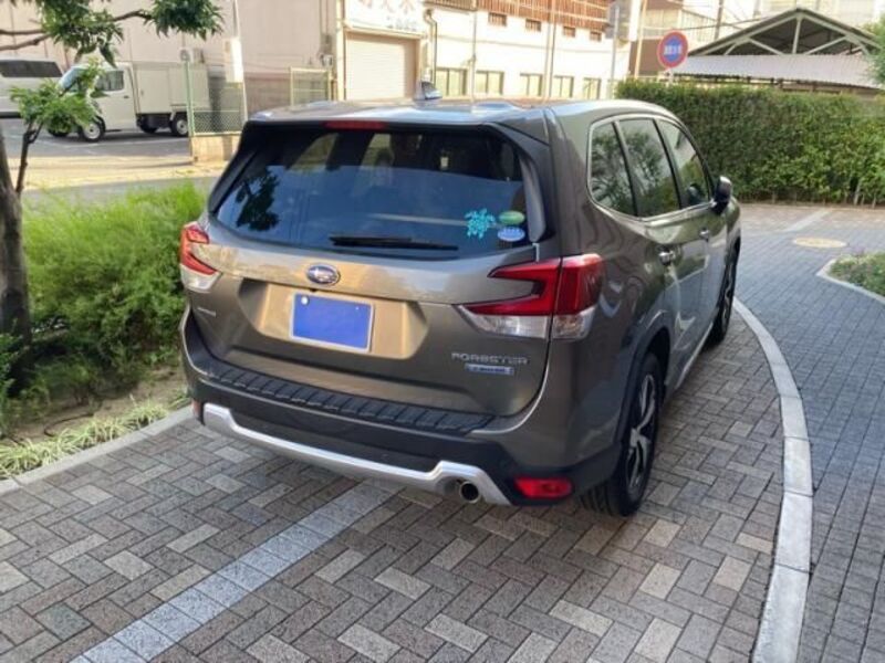 FORESTER