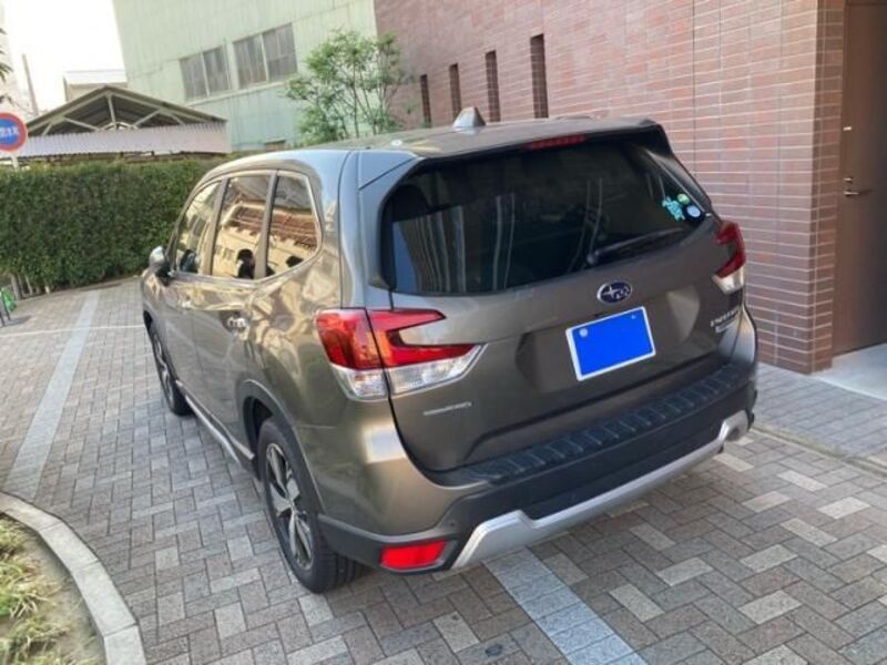 FORESTER