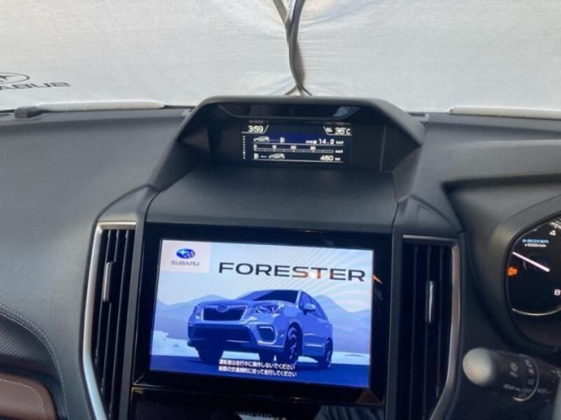 FORESTER
