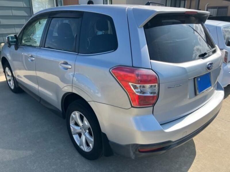 FORESTER
