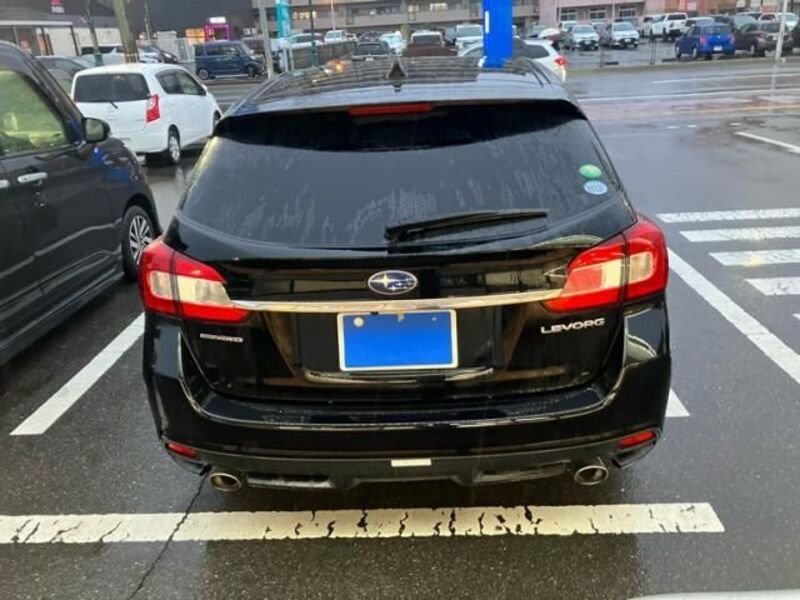 LEVORG