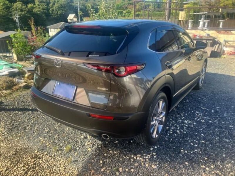 CX-30