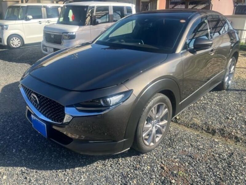 CX-30