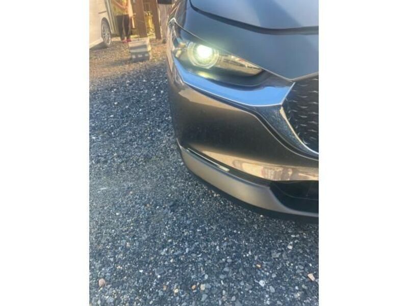 CX-30