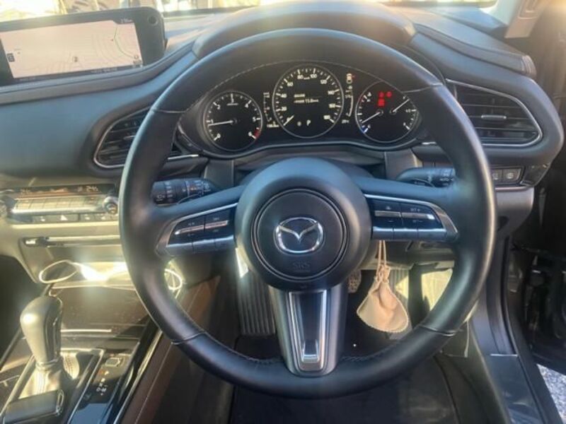 CX-30