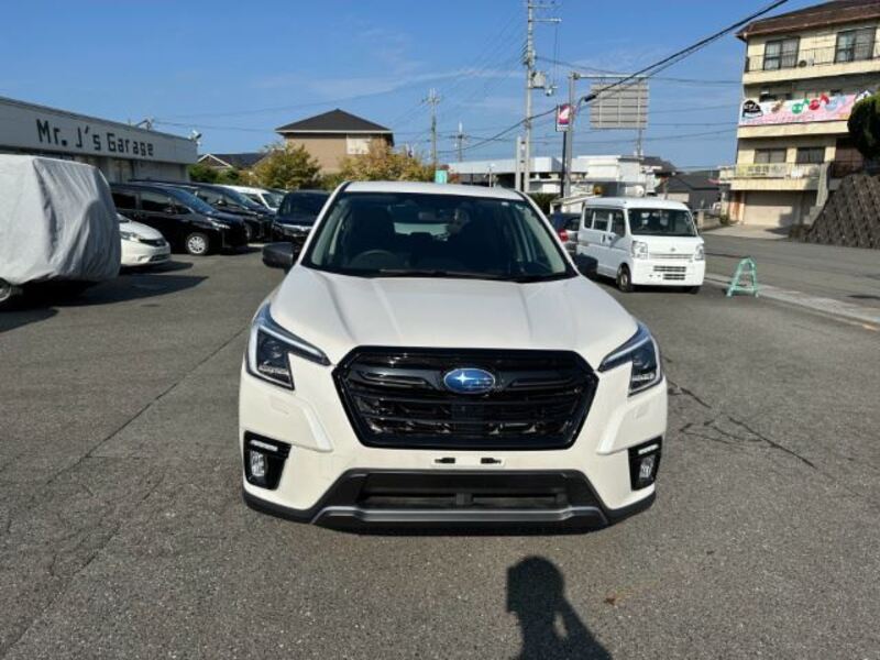 FORESTER