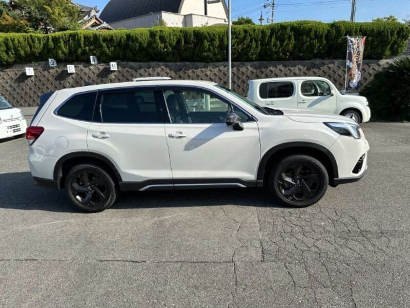 FORESTER