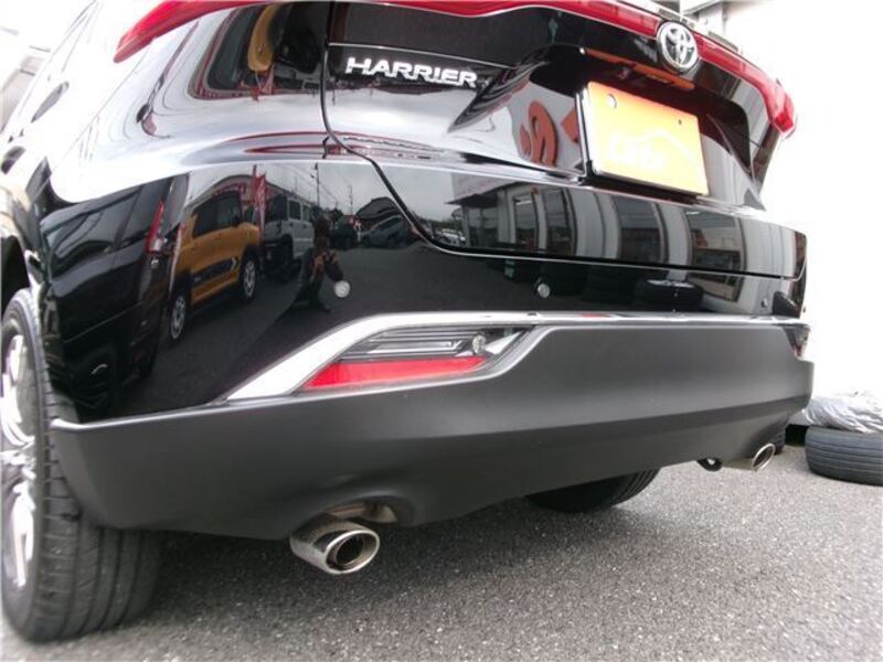 HARRIER