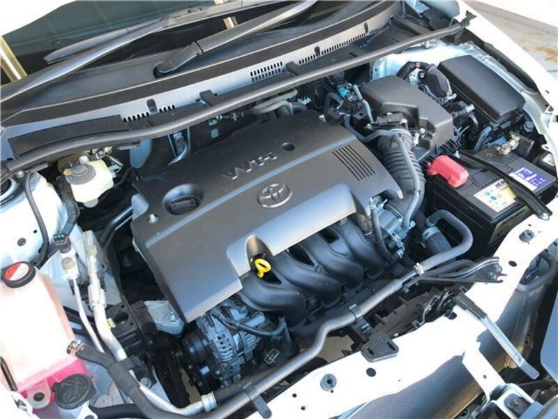 AURIS