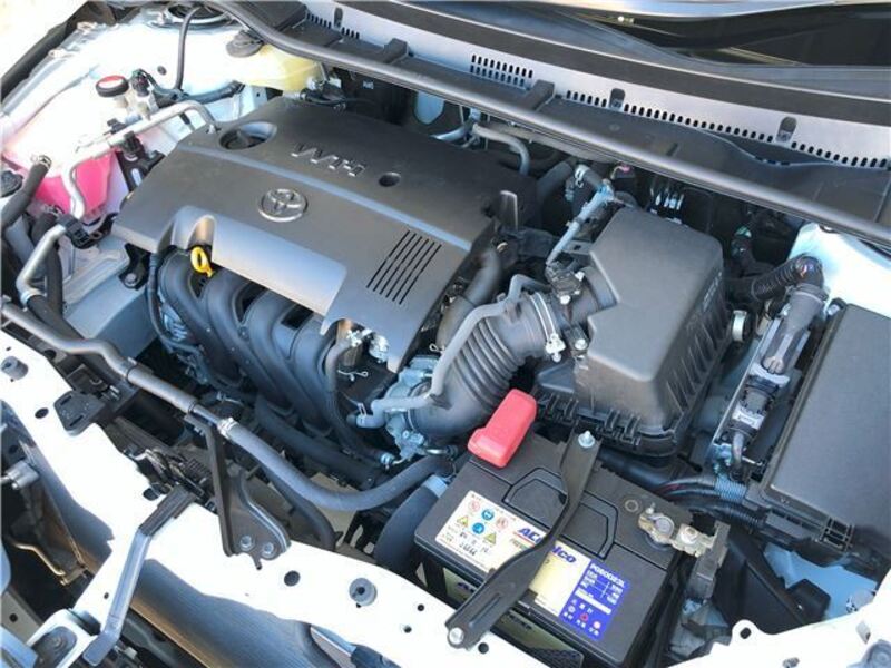 AURIS