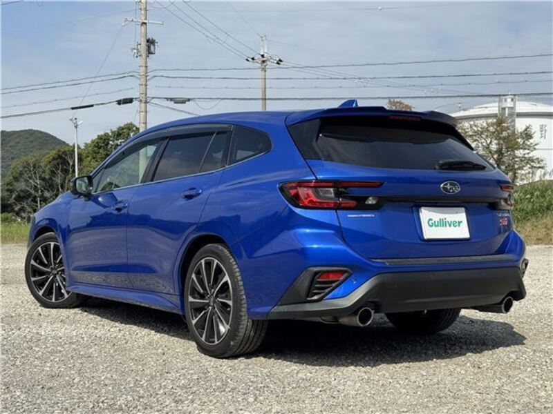 LEVORG