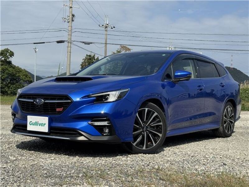 LEVORG