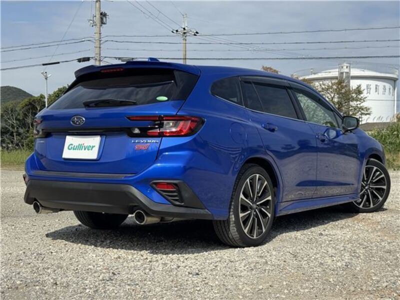 LEVORG