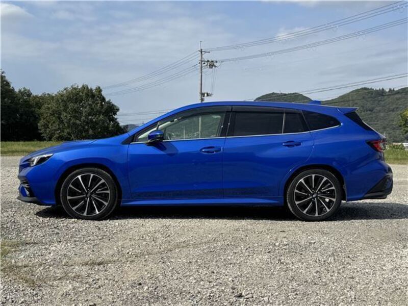 LEVORG