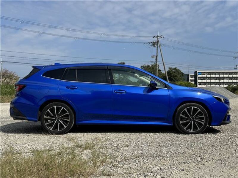 LEVORG