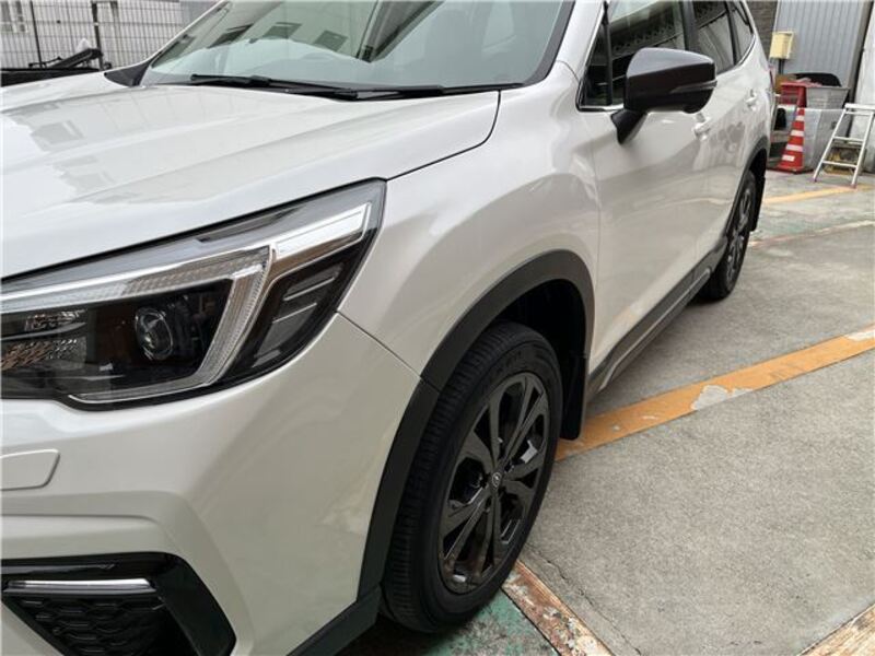 FORESTER
