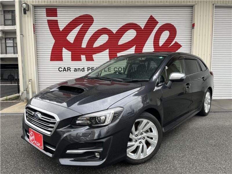 LEVORG-0