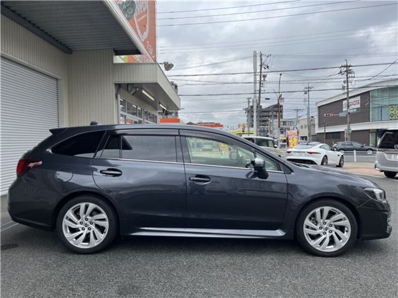 LEVORG
