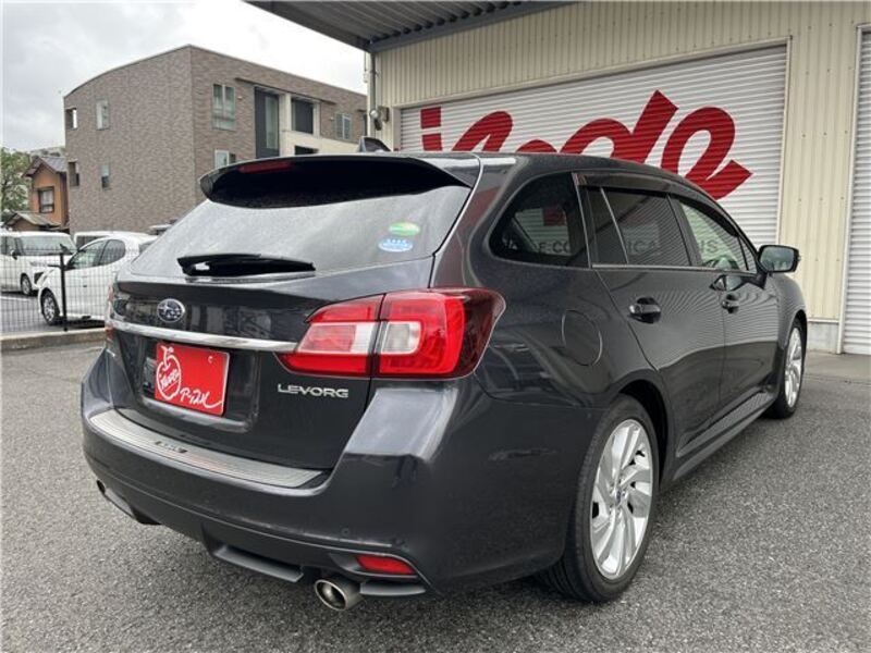 LEVORG