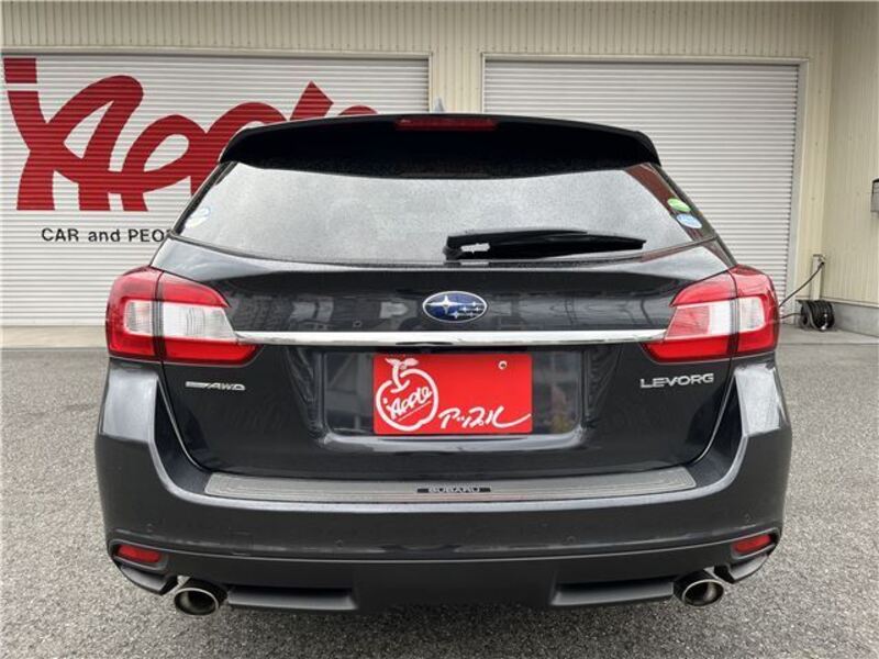 LEVORG