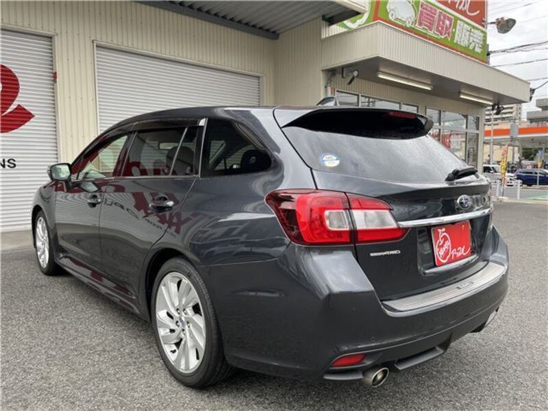 LEVORG