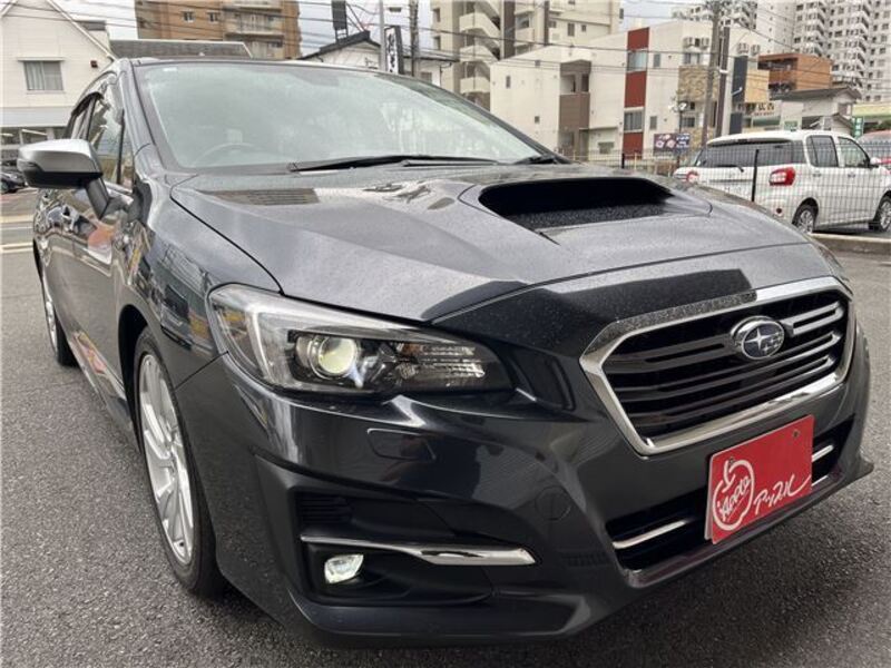 LEVORG