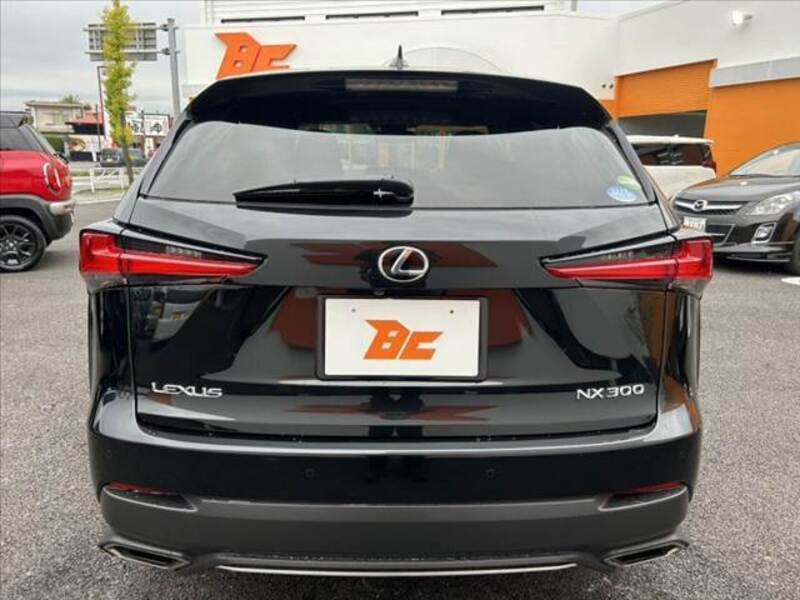 NX