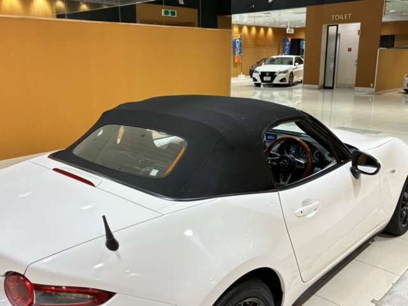 ROADSTER