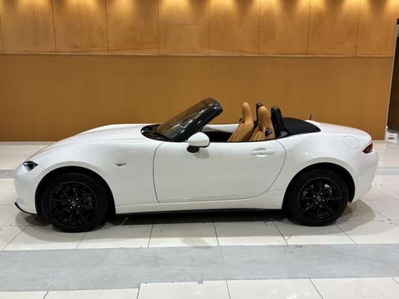 ROADSTER