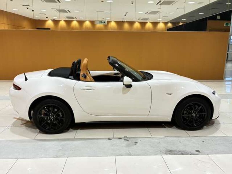 ROADSTER