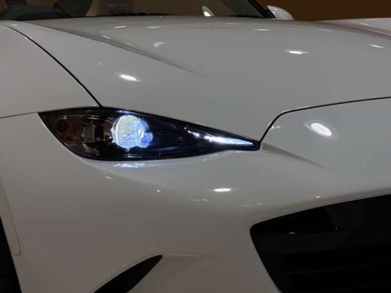 ROADSTER