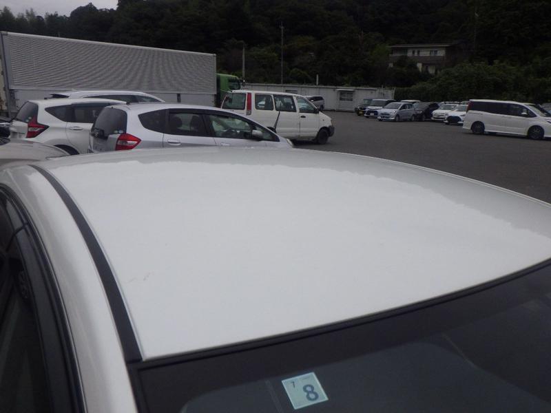 SYLPHY