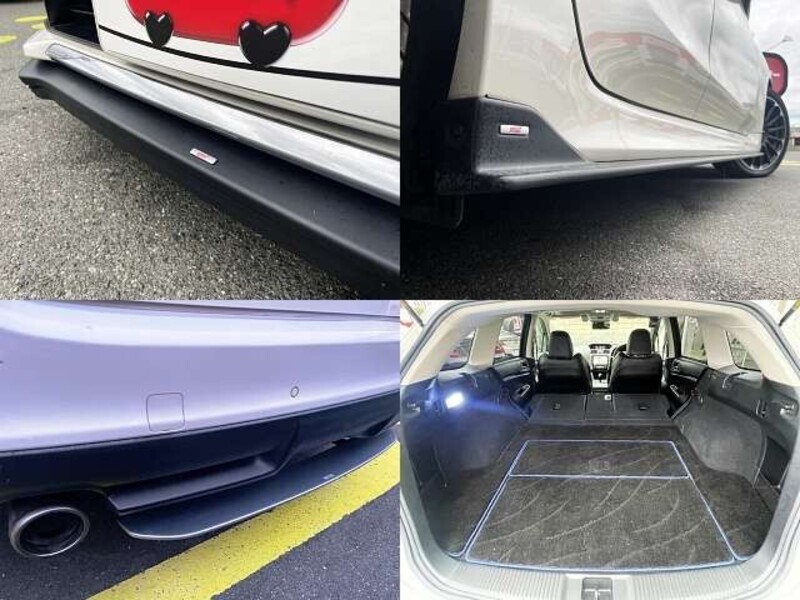 LEVORG